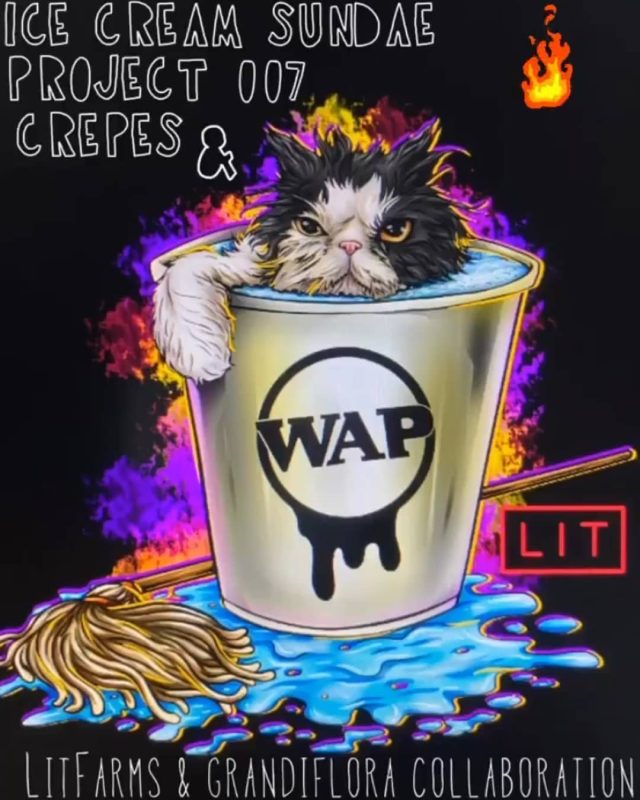 Buy PROJECT 007 feminized seeds