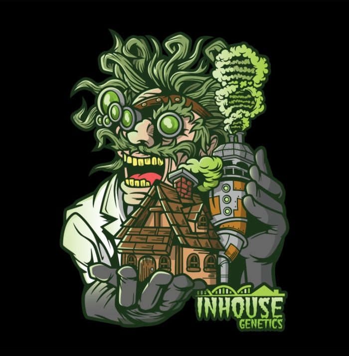 FlapJacks cannabis seeds half pack for sale