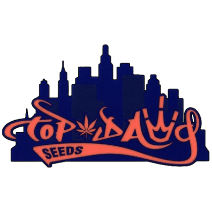 Top Dawg Seeds Dirty Chem for sale