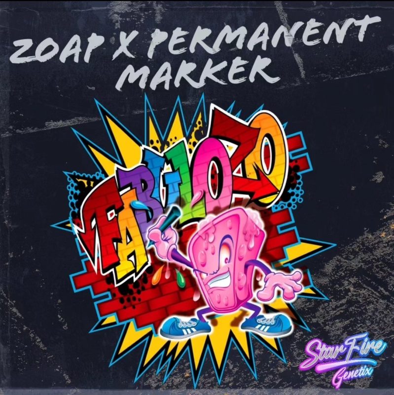 SEEDJUNKY GENETICS FabuloZo