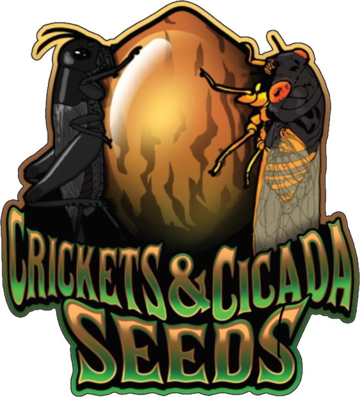 Crickets and Cicadas seeds for sale