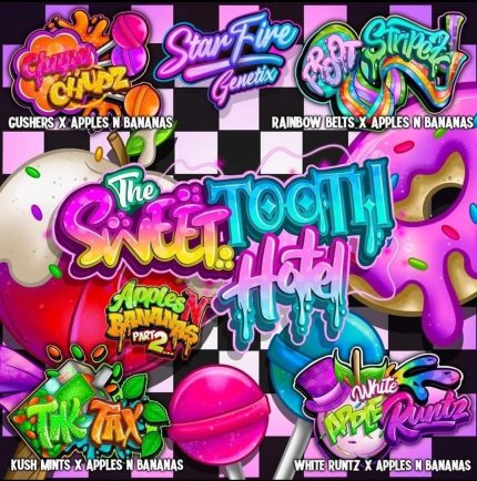 Buy SweetTooth Hotel FEM seeds