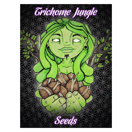 Buy Trichome Jungle Seeds online