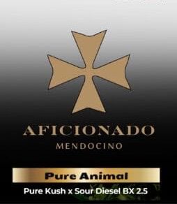 Pure Animal Aficionado Seeds