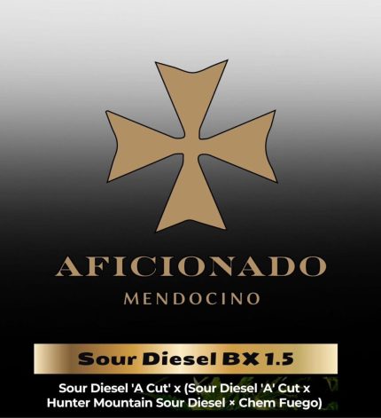 Sour Diesel BX 1.5 Aficionado Seeds